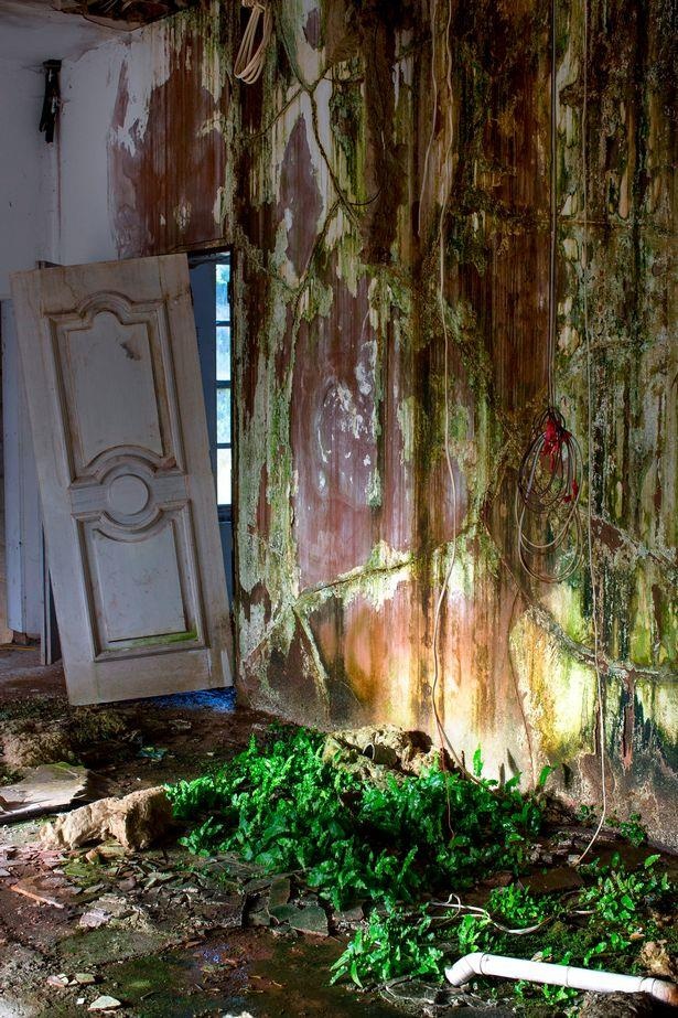 biet thu bo hoang,  Dai lo Bishops,  Luan Don anh 7