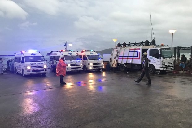 chim tau o Phuket anh 4