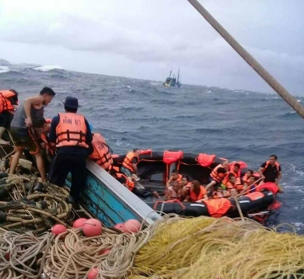 chim tau o Phuket anh 2