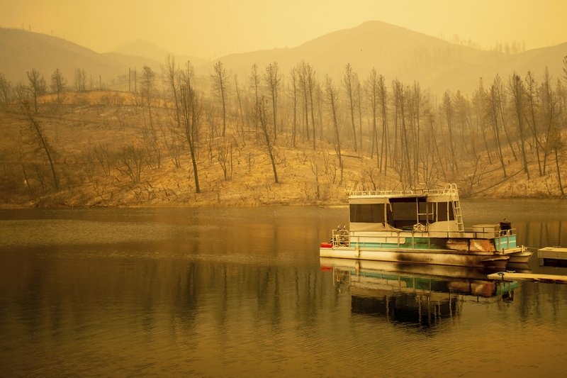 chay rung California anh 10