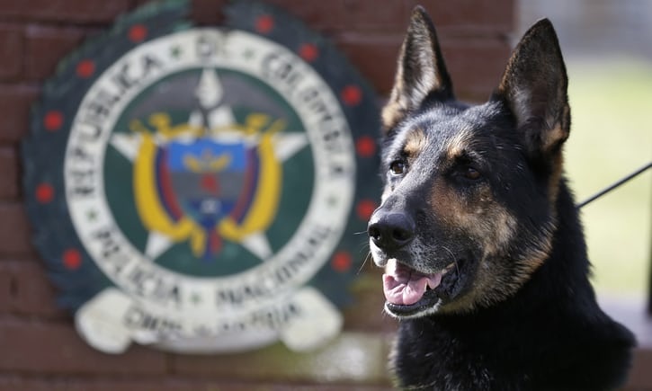 Bang nhom ma tuy treo thuong 7.000 USD truy giet cho nghiep vu hinh anh