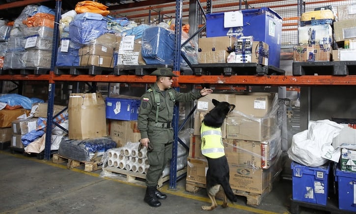 truy giết chó nghiệp vụ ảnh 2 truy giet cho nghiep vu anh 2