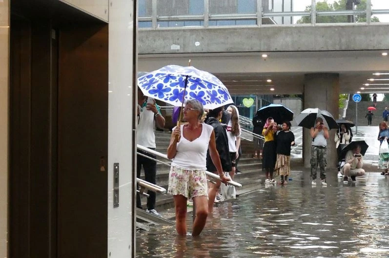 lut nha ga Thuy Dien anh 8