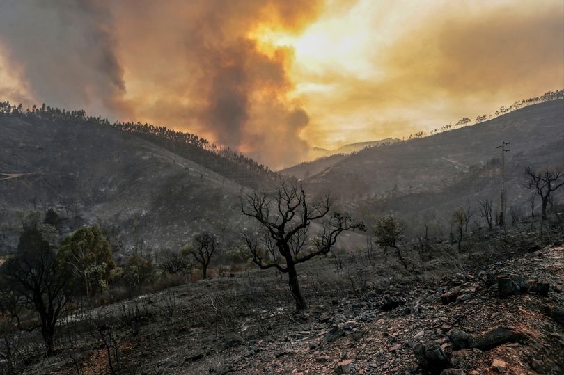 nang nong tai chau Au anh 7