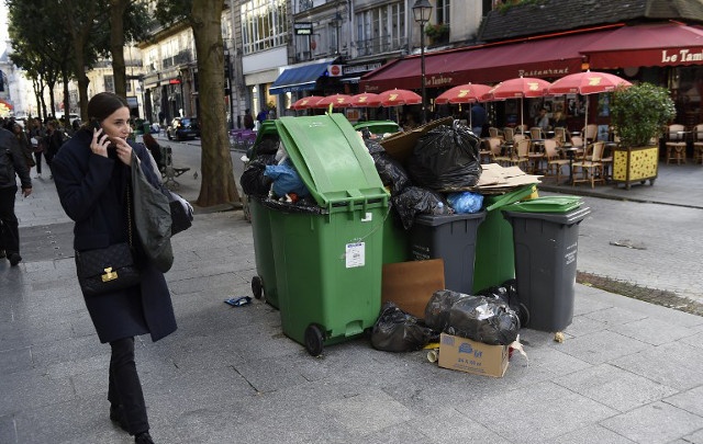 chuột cũng có quyền ảnh 2 chuot cung co quyen anh 2