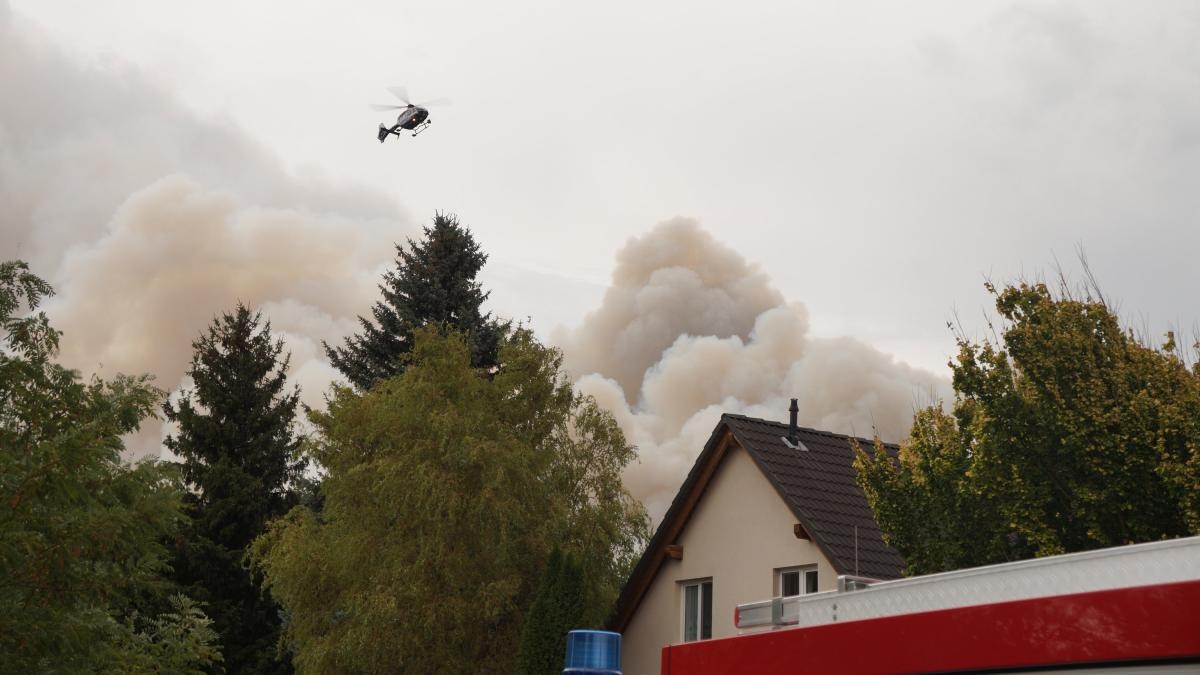 dan no vi chay rung anh 1