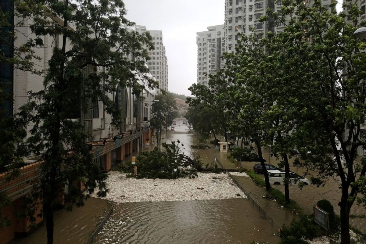 bao Mangkhut hoanh hanh Hong Kong anh 4