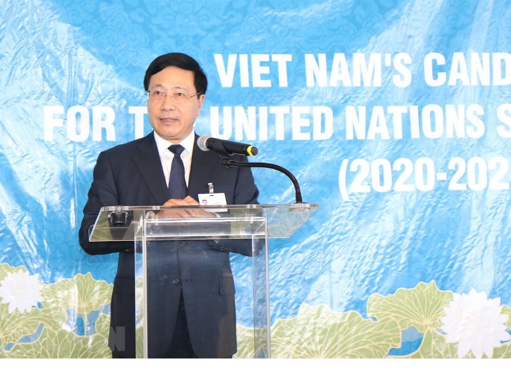 Phó thủ tướng Phạm Bình Minh ảnh 1 Pho thu tuong Pham Binh Minh anh 1