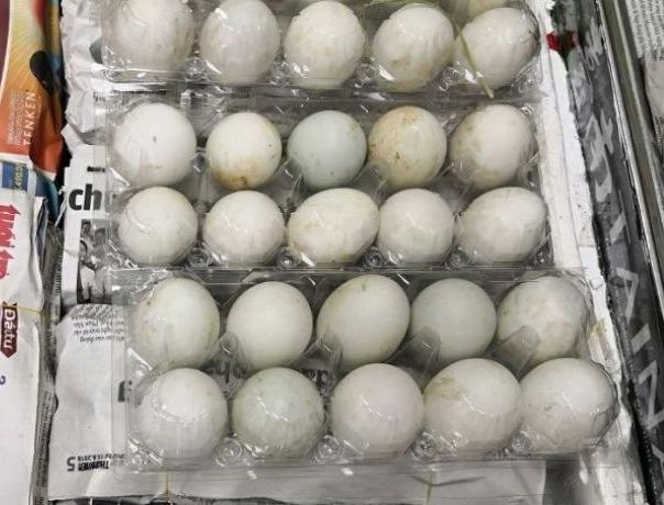 Nguoi Viet mang 490 trung vit lon vao Singapore bi phat 5.000 USD hinh anh