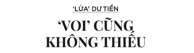 cuoc dua tien bau cu giua nhiem ky anh 11