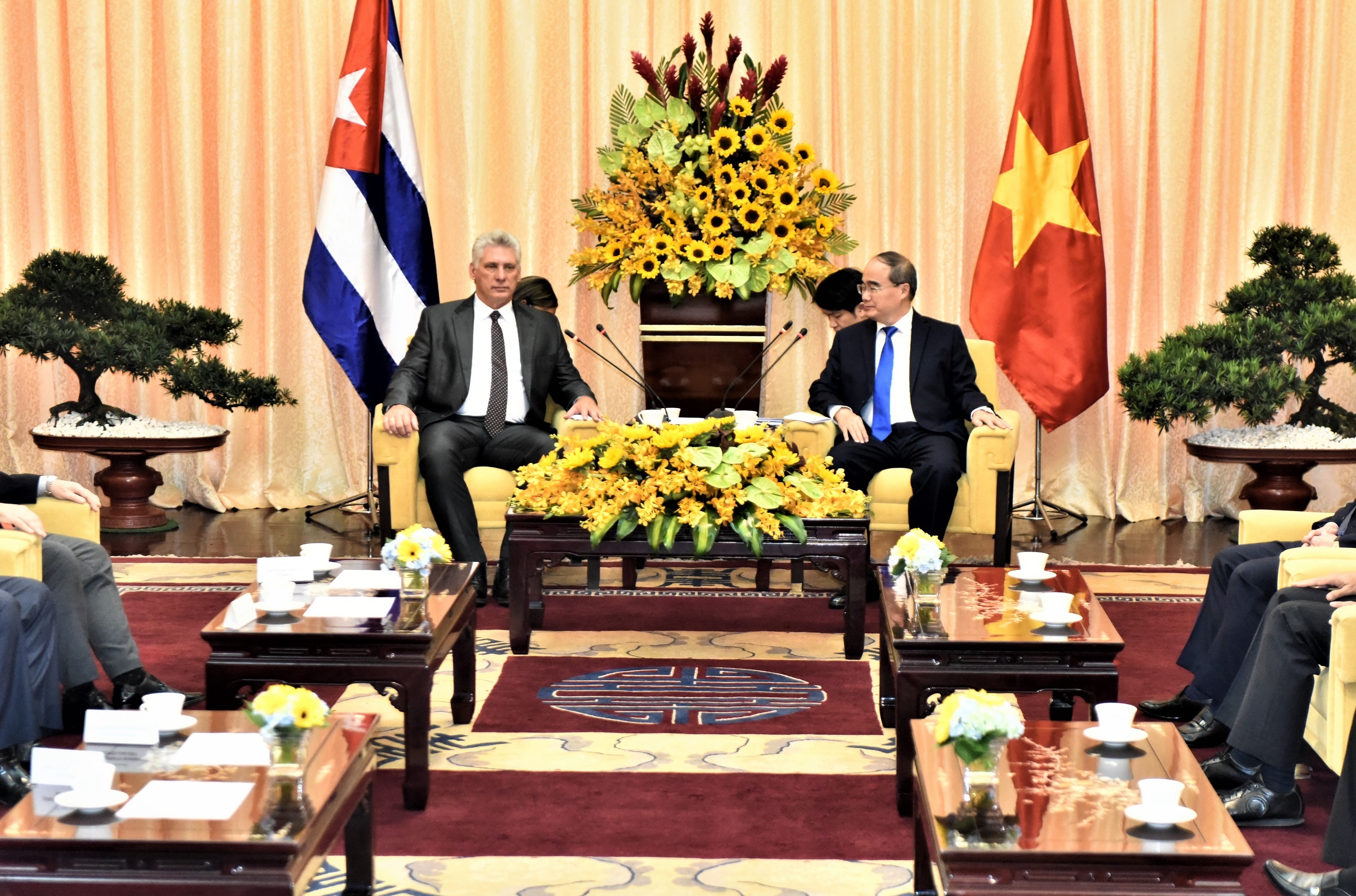 Chu tich Cuba tham TP.HCM anh 3