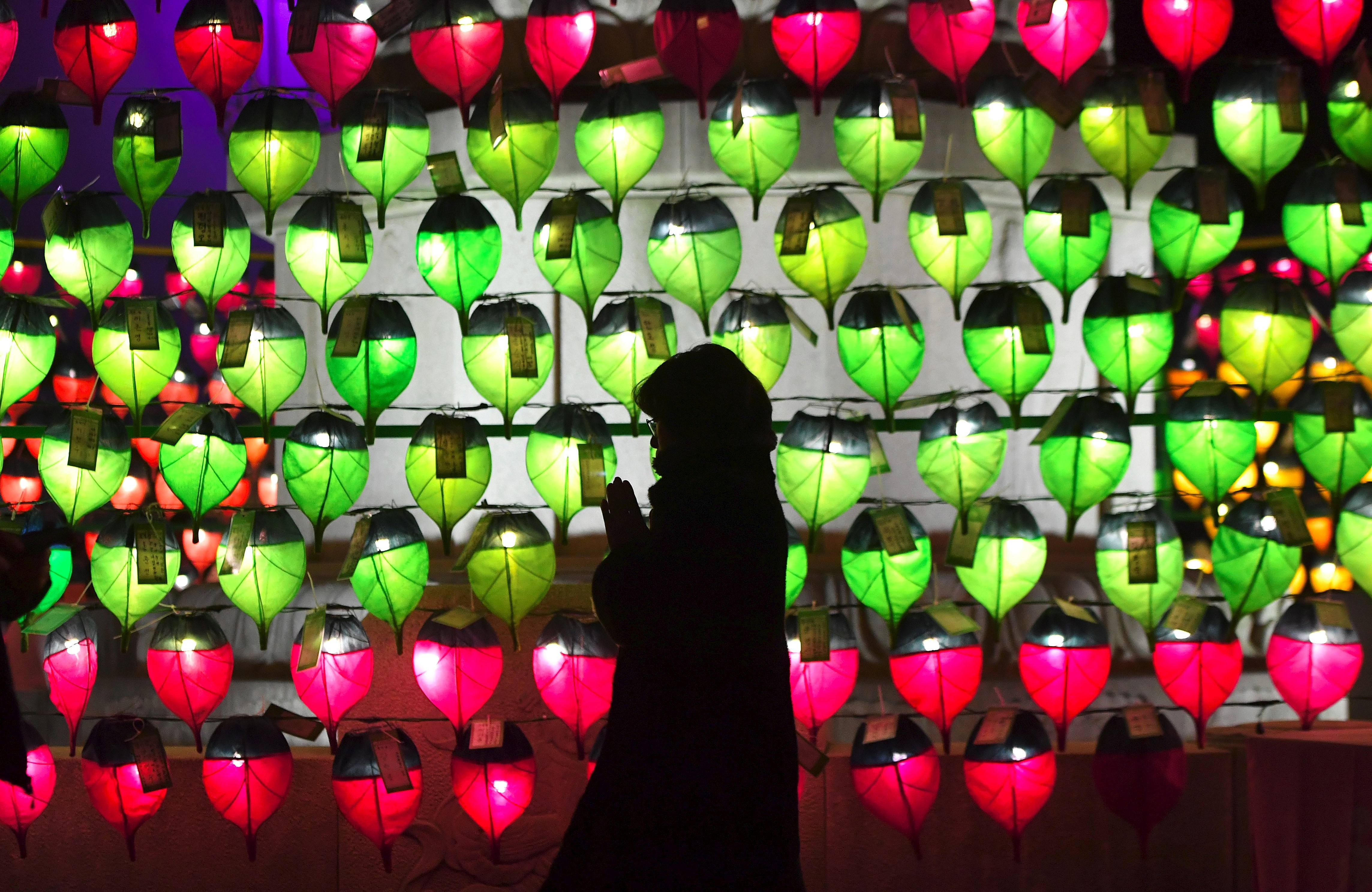 don nam moi 2019 anh 8