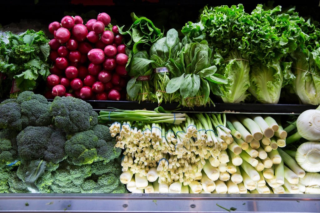 dong cua chinh phu anh 4