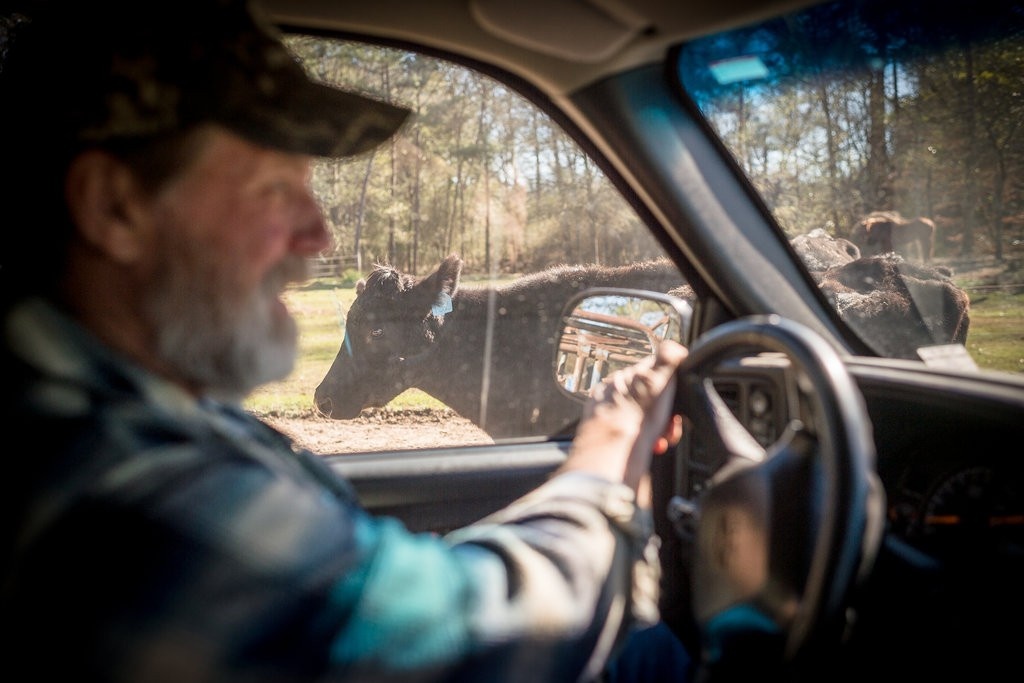 dong cua chinh phu anh 9