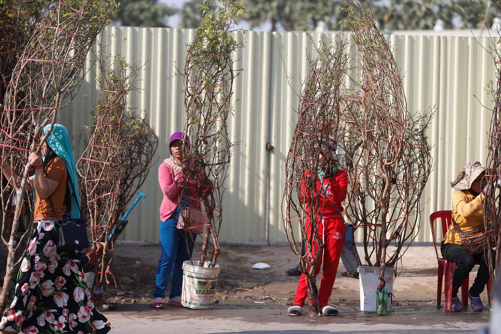 khong khi don tet anh 8