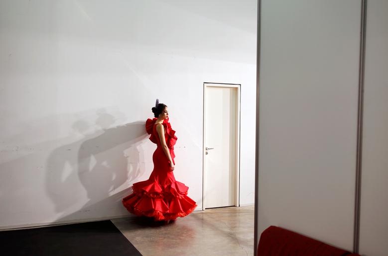 Flamenco Tay Ban Nha anh 2