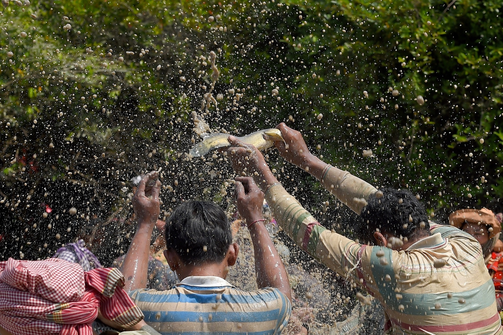 le hoi bat ca Campuchia anh 5