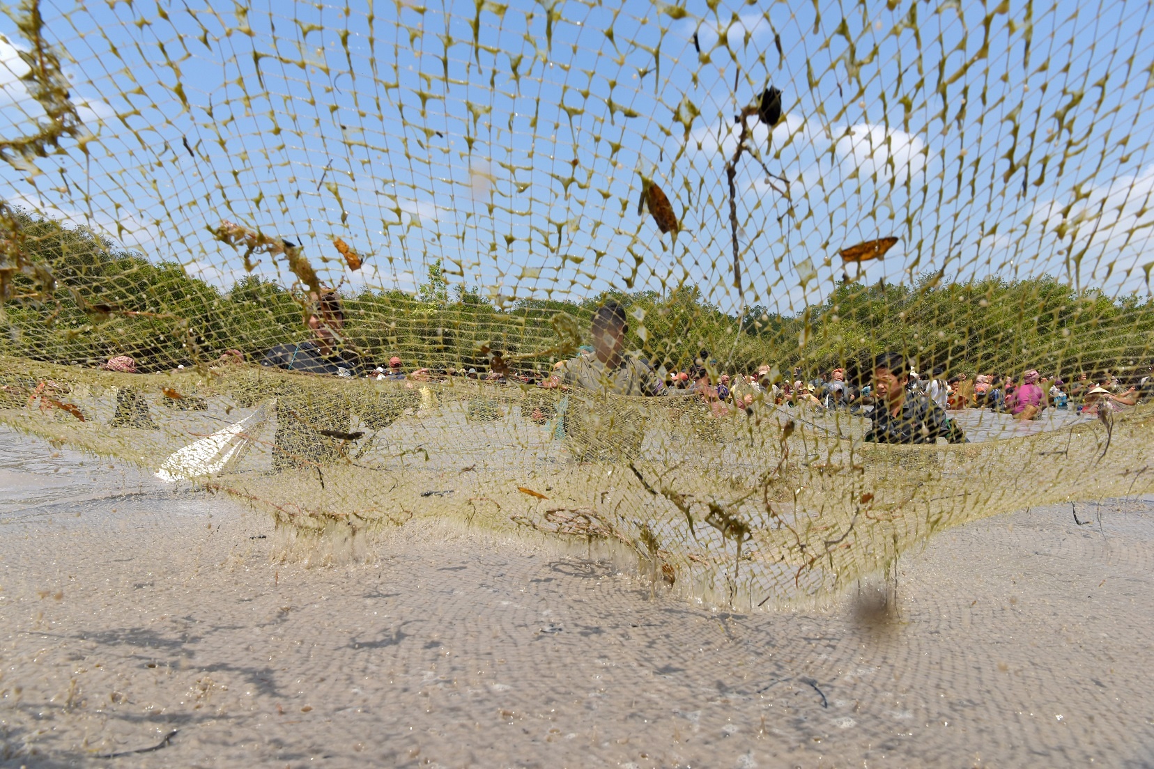 le hoi bat ca Campuchia anh 7