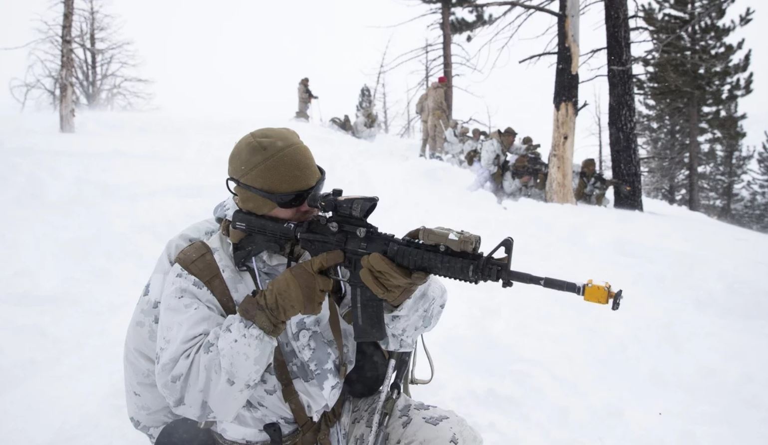 Quan My tap tran trong tuyet day, mo phong chien truong Nga, TQ hinh anh