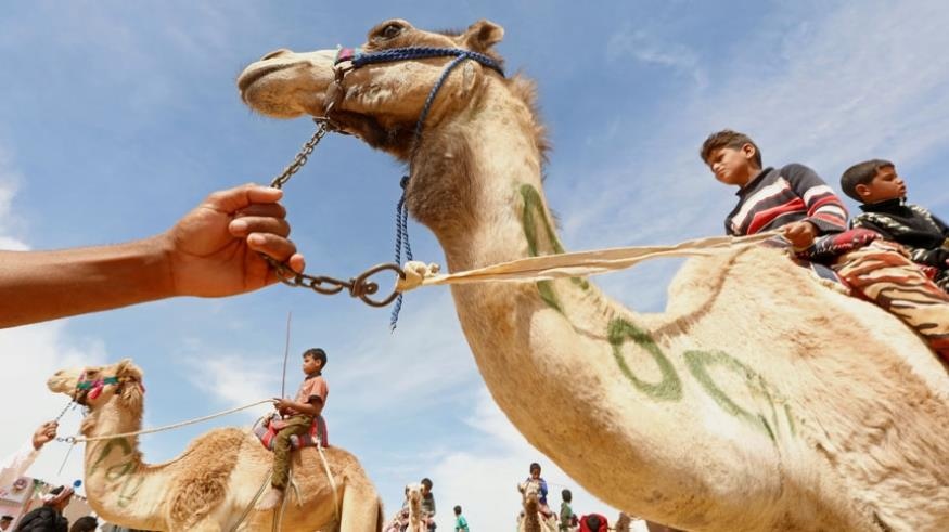 dua lac da giua sa mac anh 1