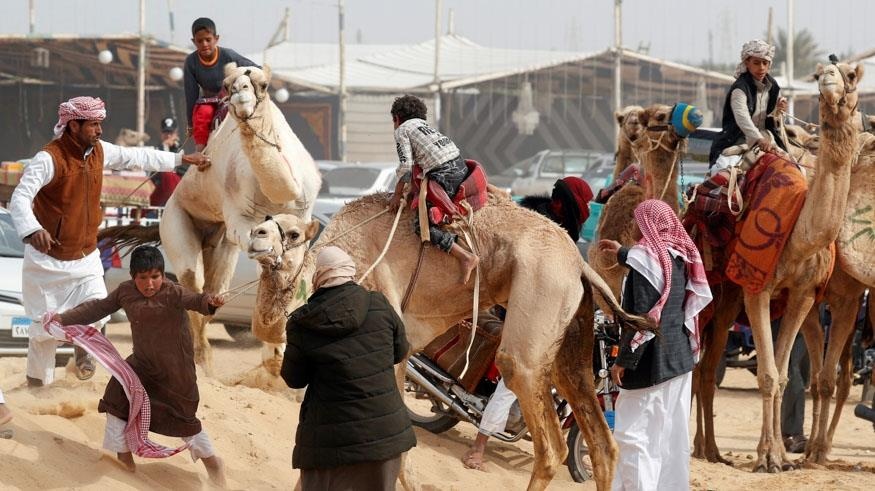 dua lac da giua sa mac anh 2