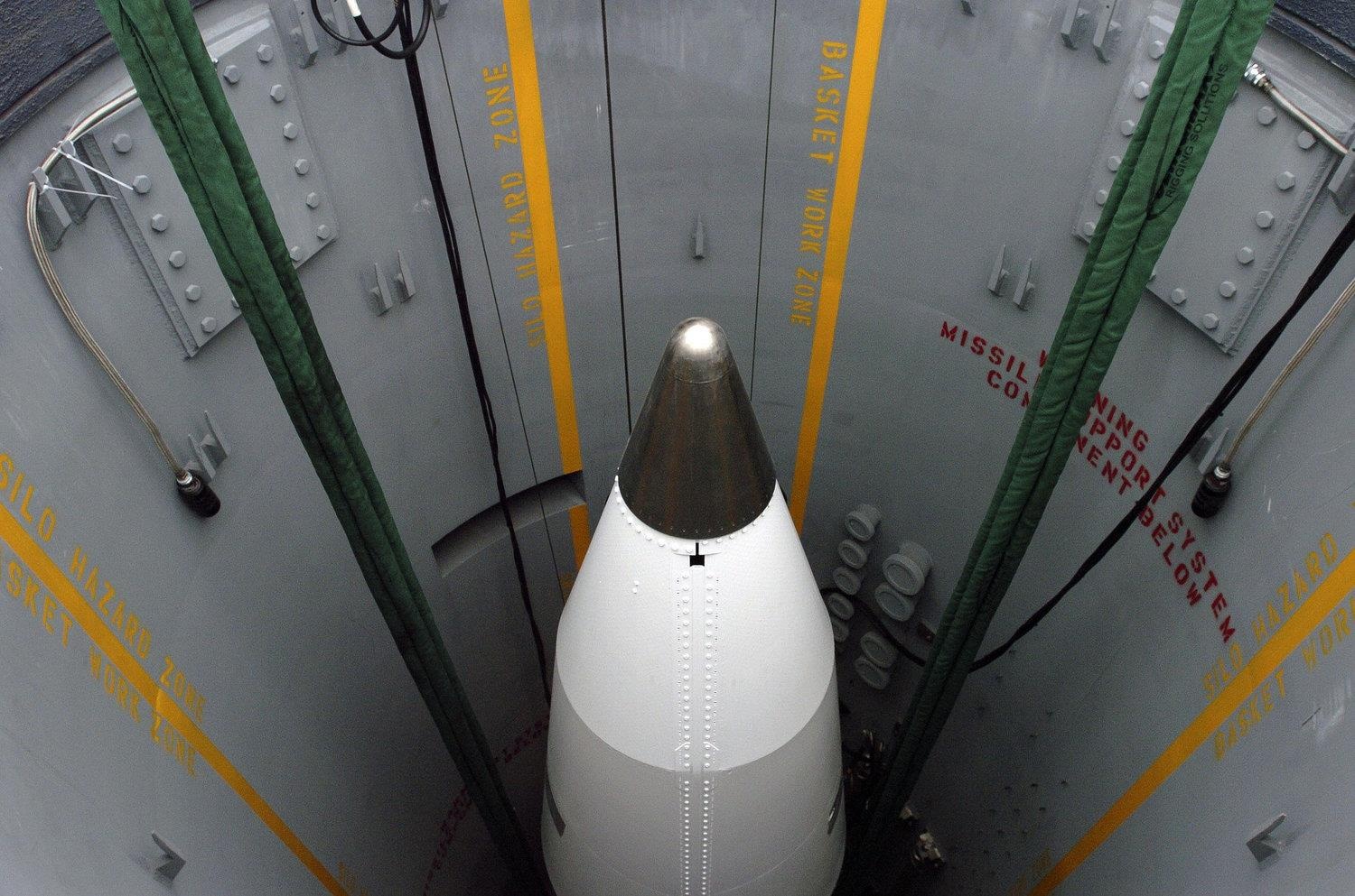 My thu la chan ten lua anh 2