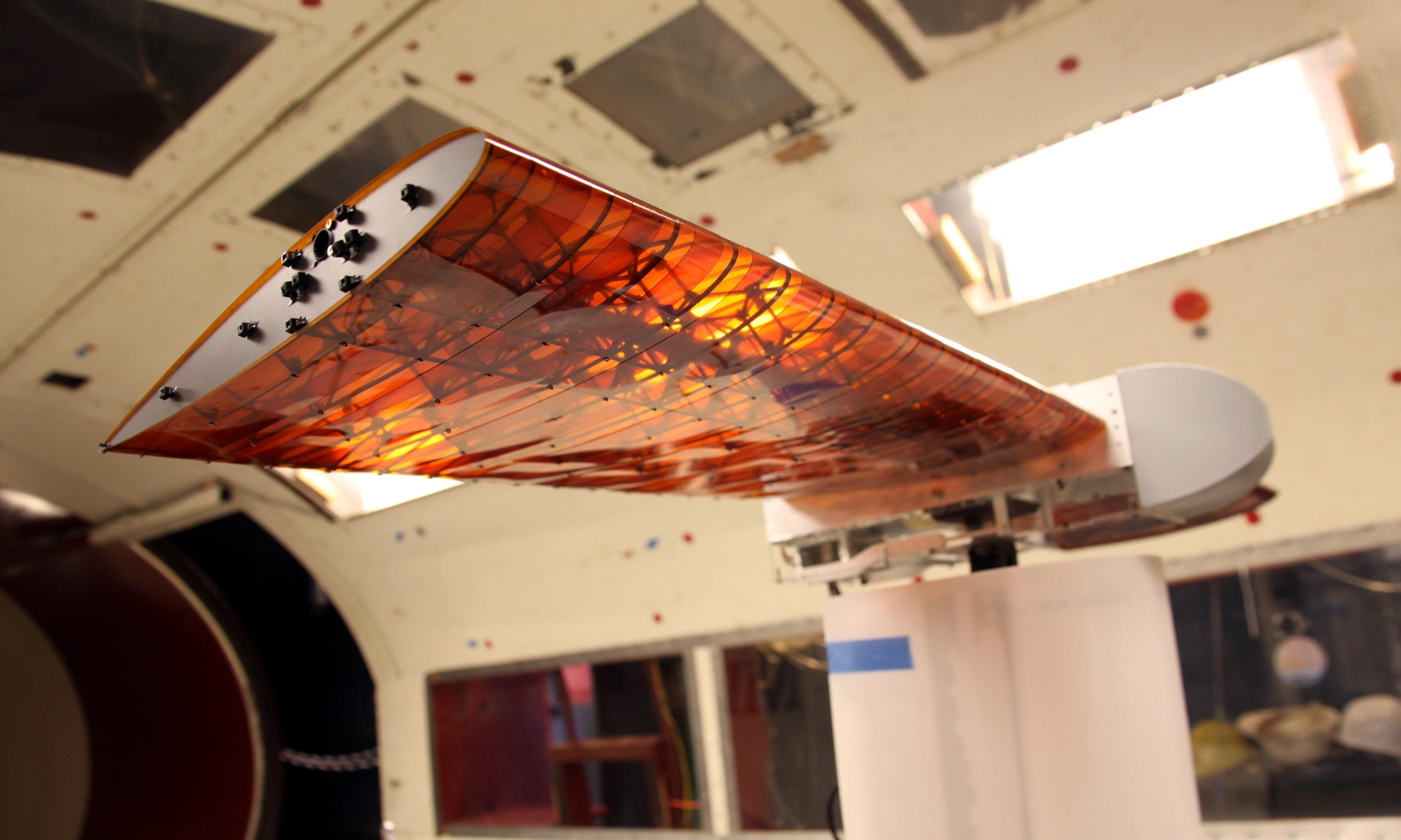 canh may bay bien hinh anh 8