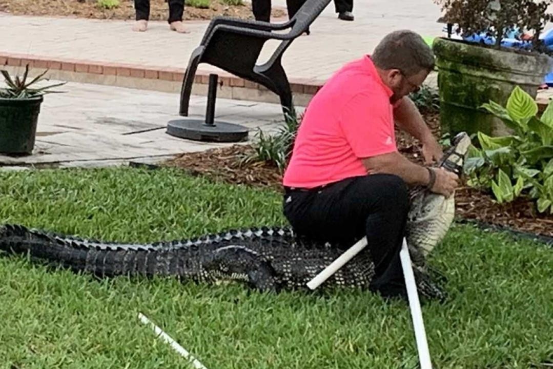 Ca sau doi tran vao duong pho, ho boi va nha dan o Florida hinh anh