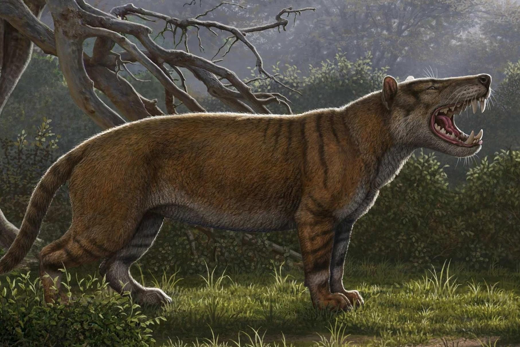 Tim thay hoa thach su tu khong lo 20 trieu nam hinh anh