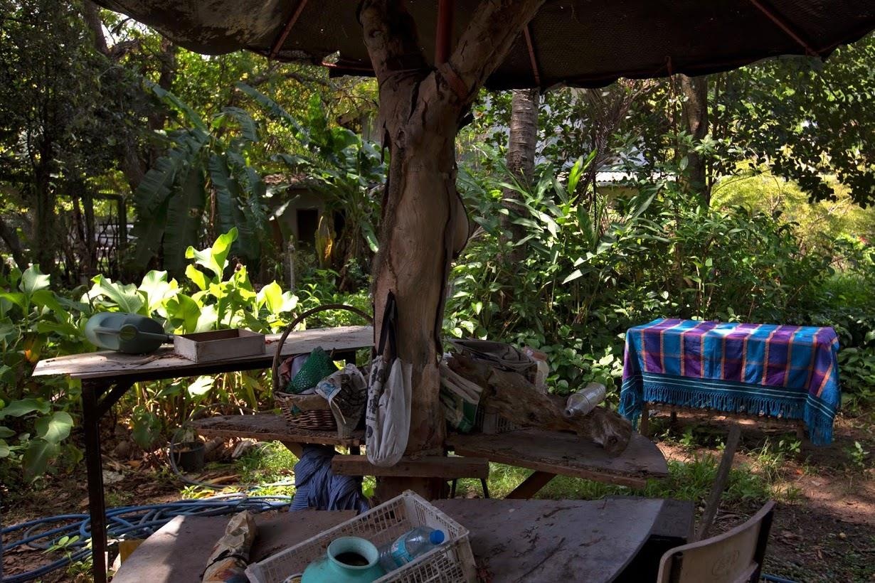 danh bom Sri Lanka anh 7