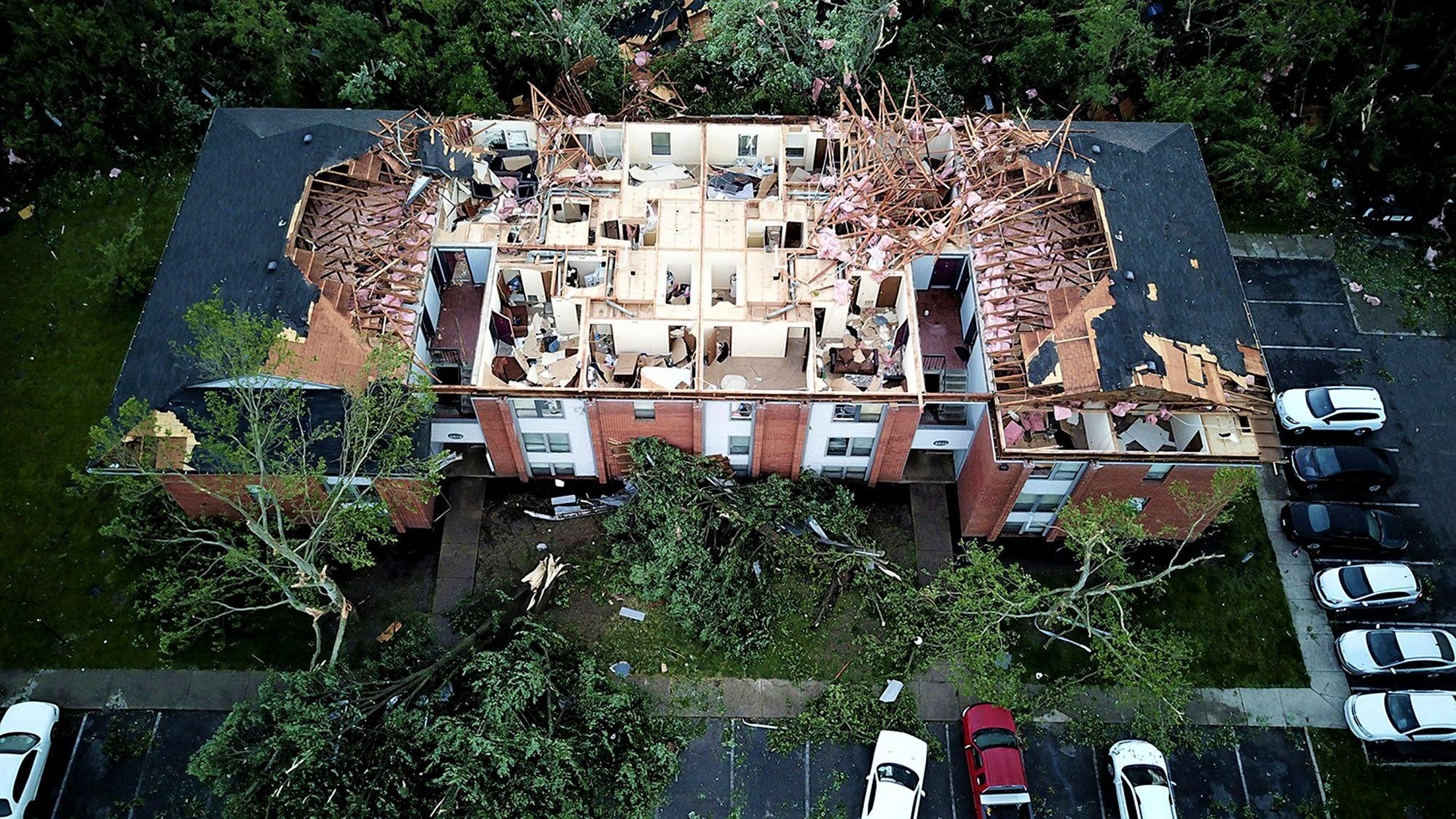 voi rong tan pha anh 7