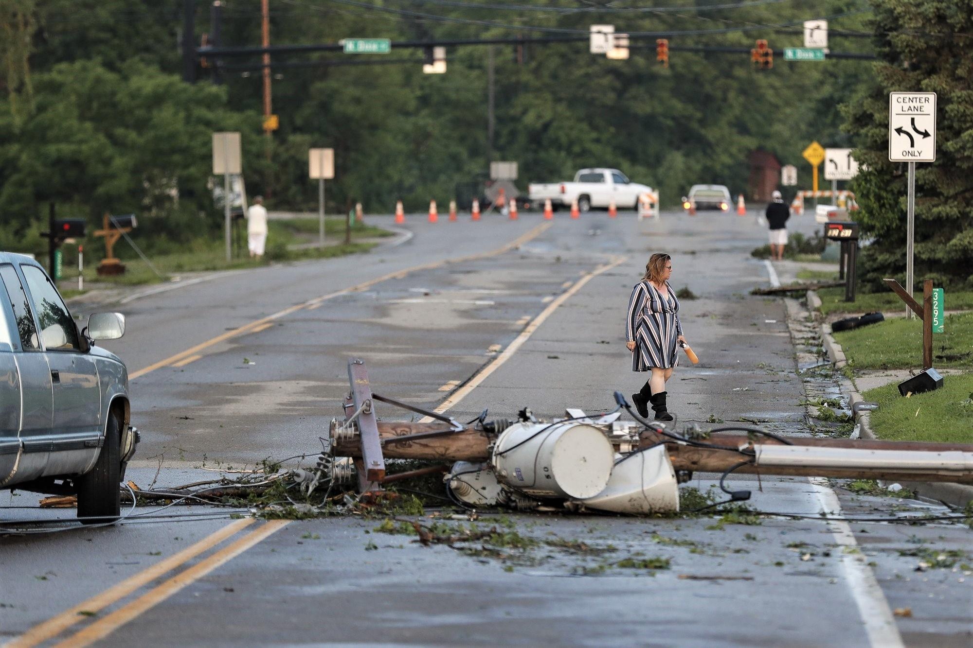 voi rong tan pha anh 4