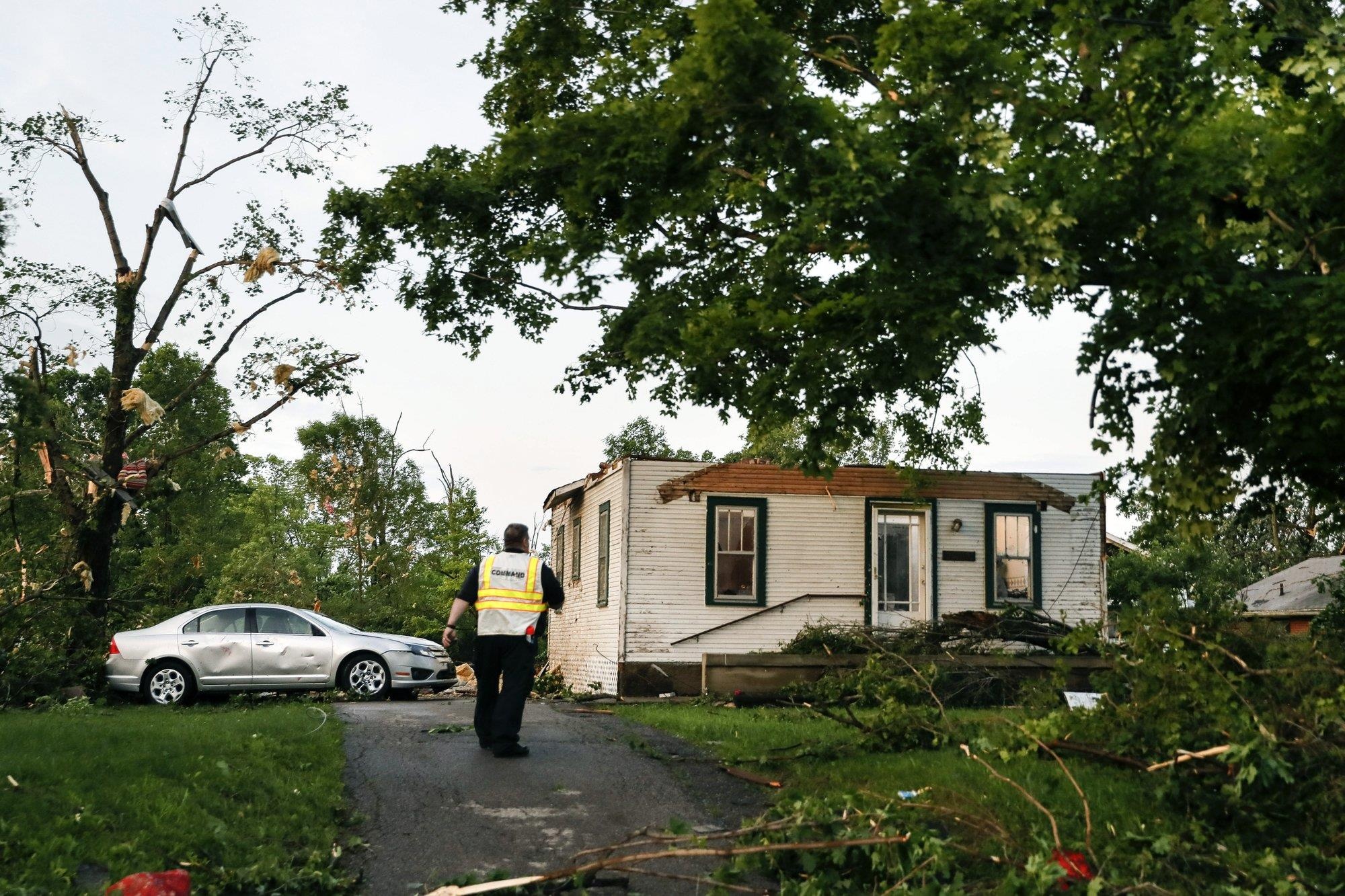 voi rong tan pha anh 10