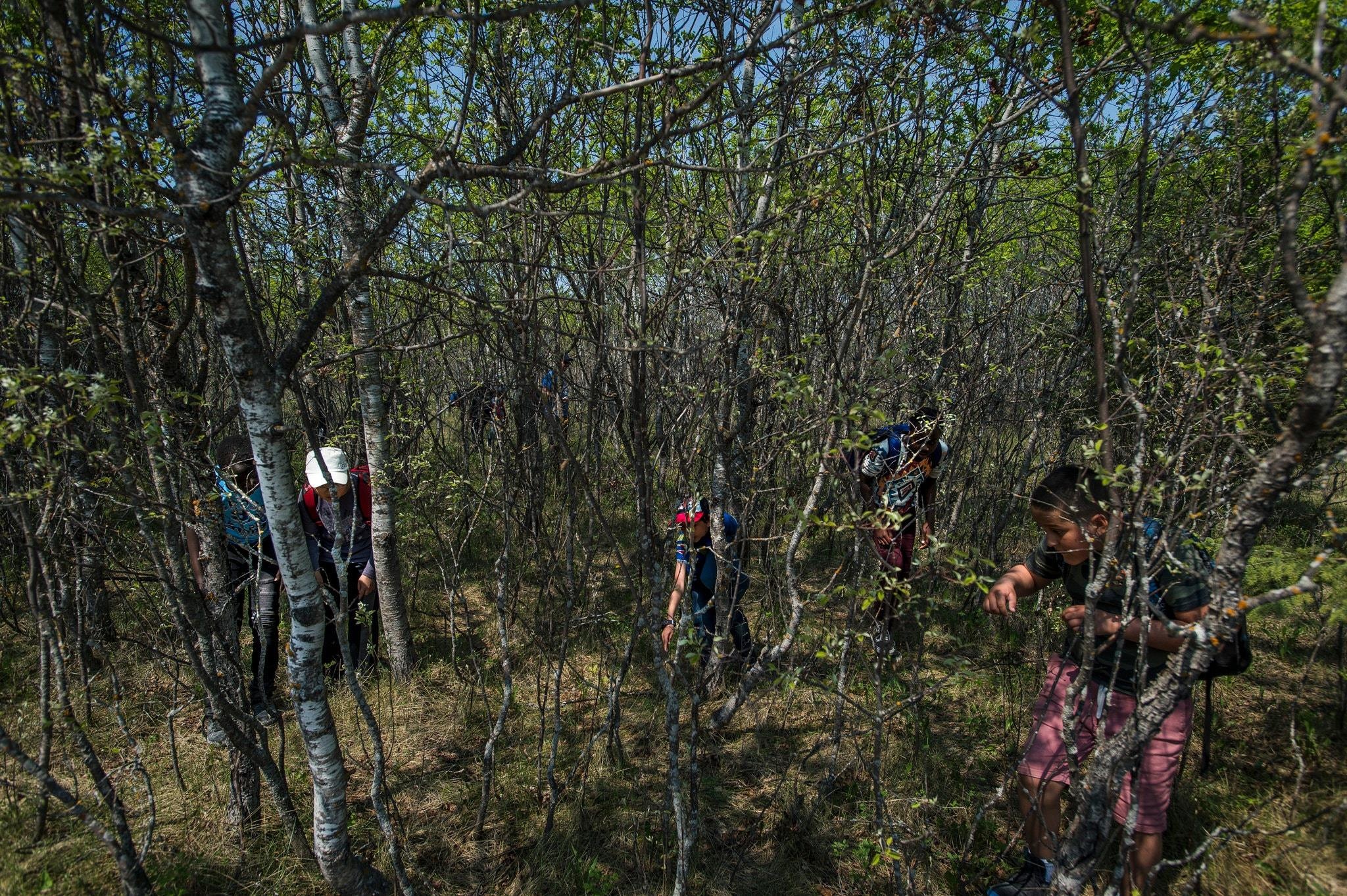 thi tran ran o Canada anh 2