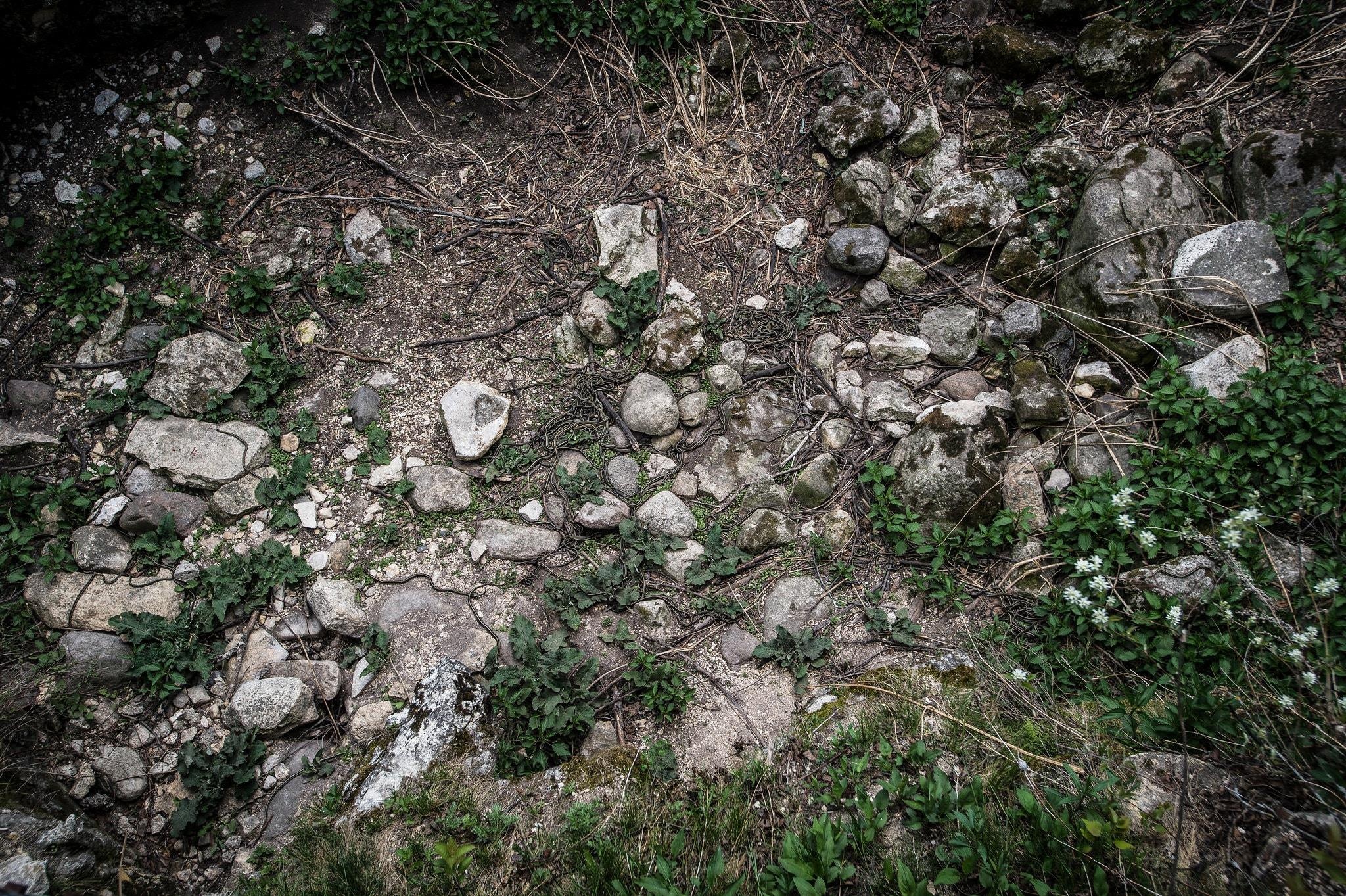 thi tran ran o Canada anh 4