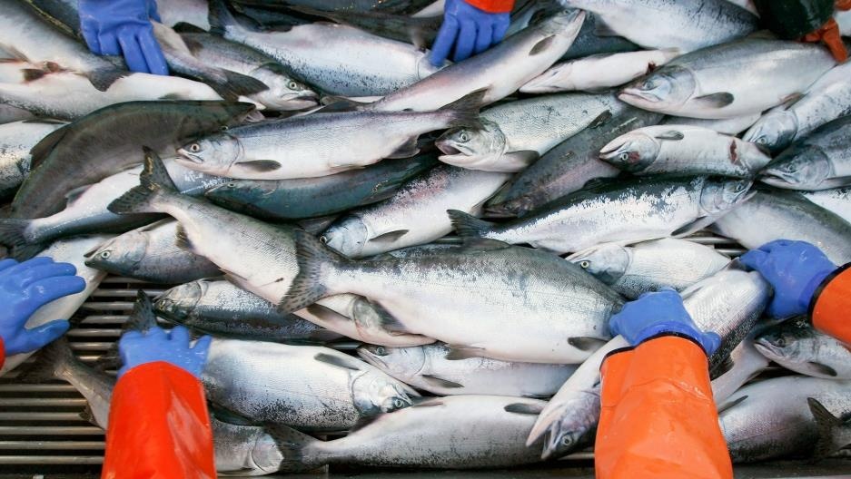 lenh thue cua ong Trump danh vao ca My anh 2