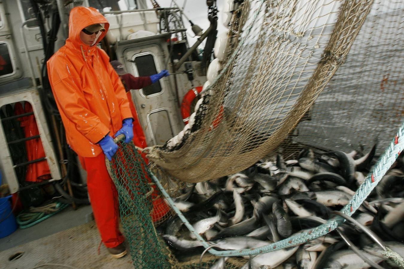 Ca My lo trung 'dan lac' tu don ap thue Trung Quoc cua TT Trump hinh anh