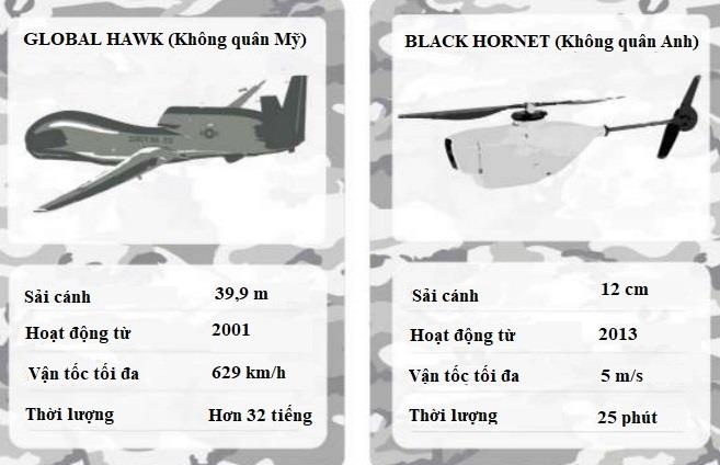 Iran ban ha may bay khong nguoi lai My anh 2