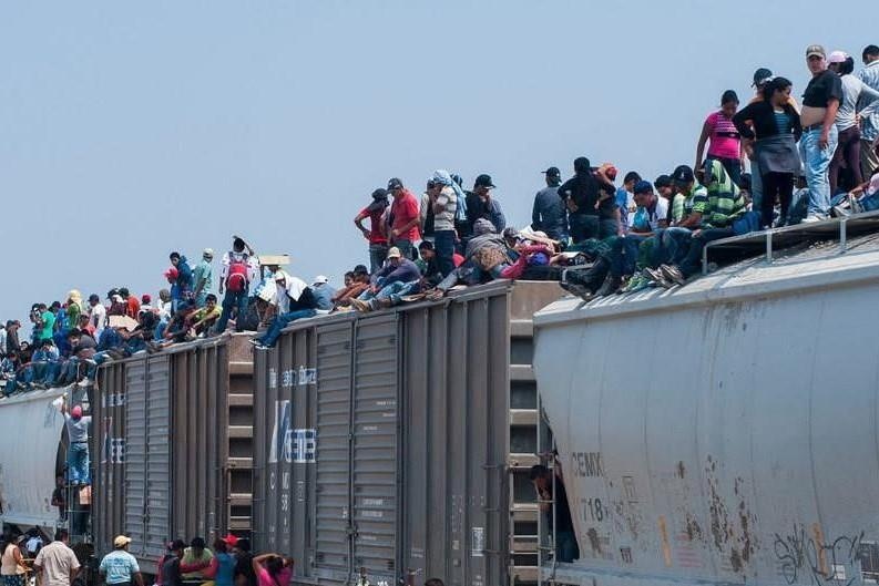 cau chuyen sau tam anh thi the cha con di cu anh 3