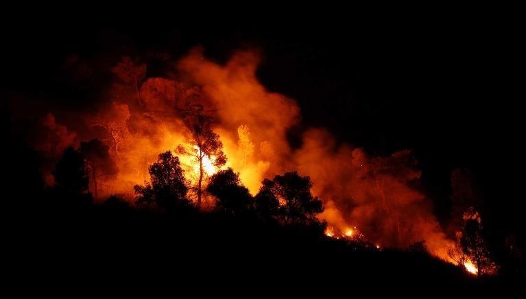 Tay Ban Nha nong toi muc phan boc lua, thieu rui 4.000 ha rung hinh anh