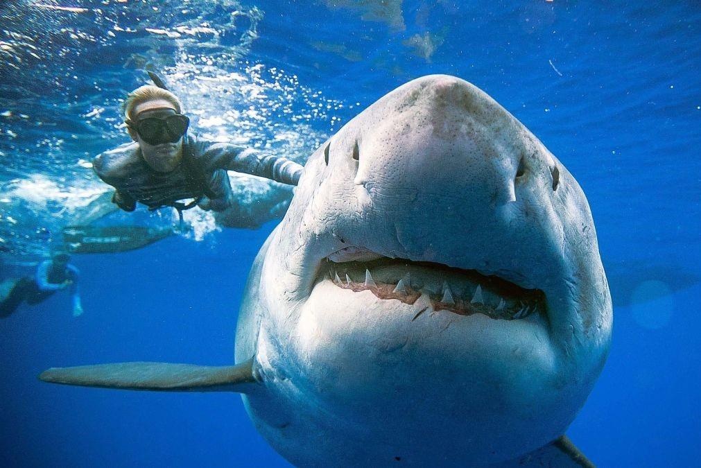 Ca map trang khong lo 'xam chiem' bai bien My dung dip quoc khanh hinh anh