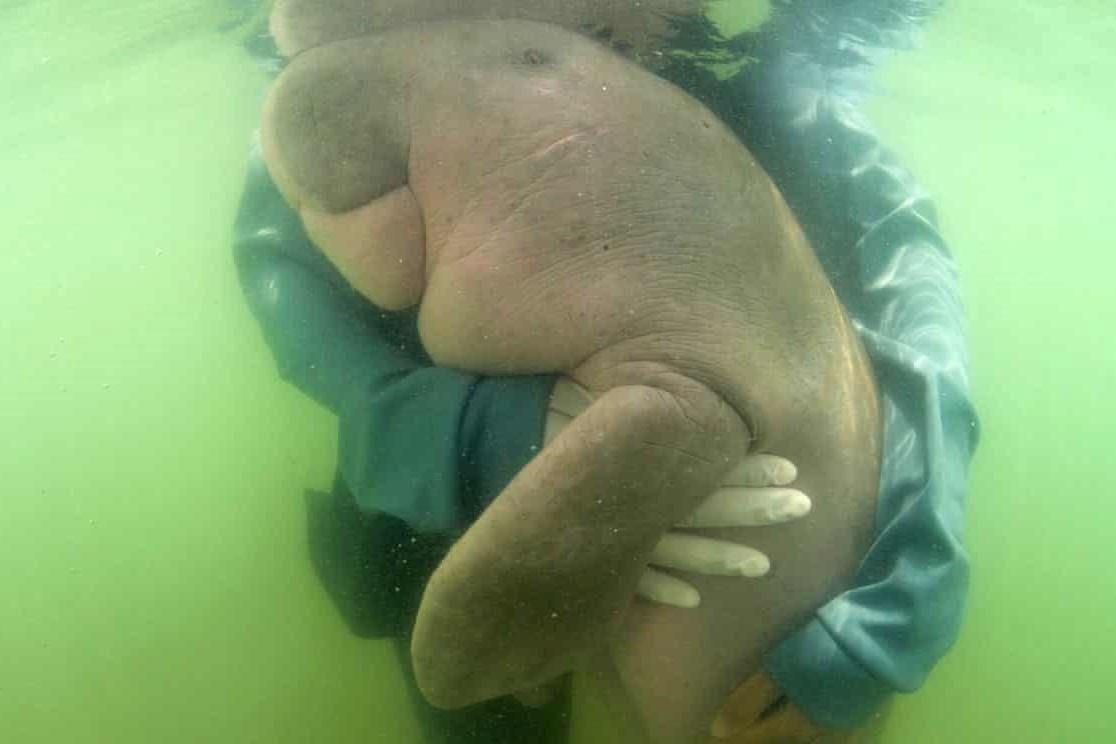 Thai Lan mo kenh truyen hinh bo bien lac me 24/24 hinh anh