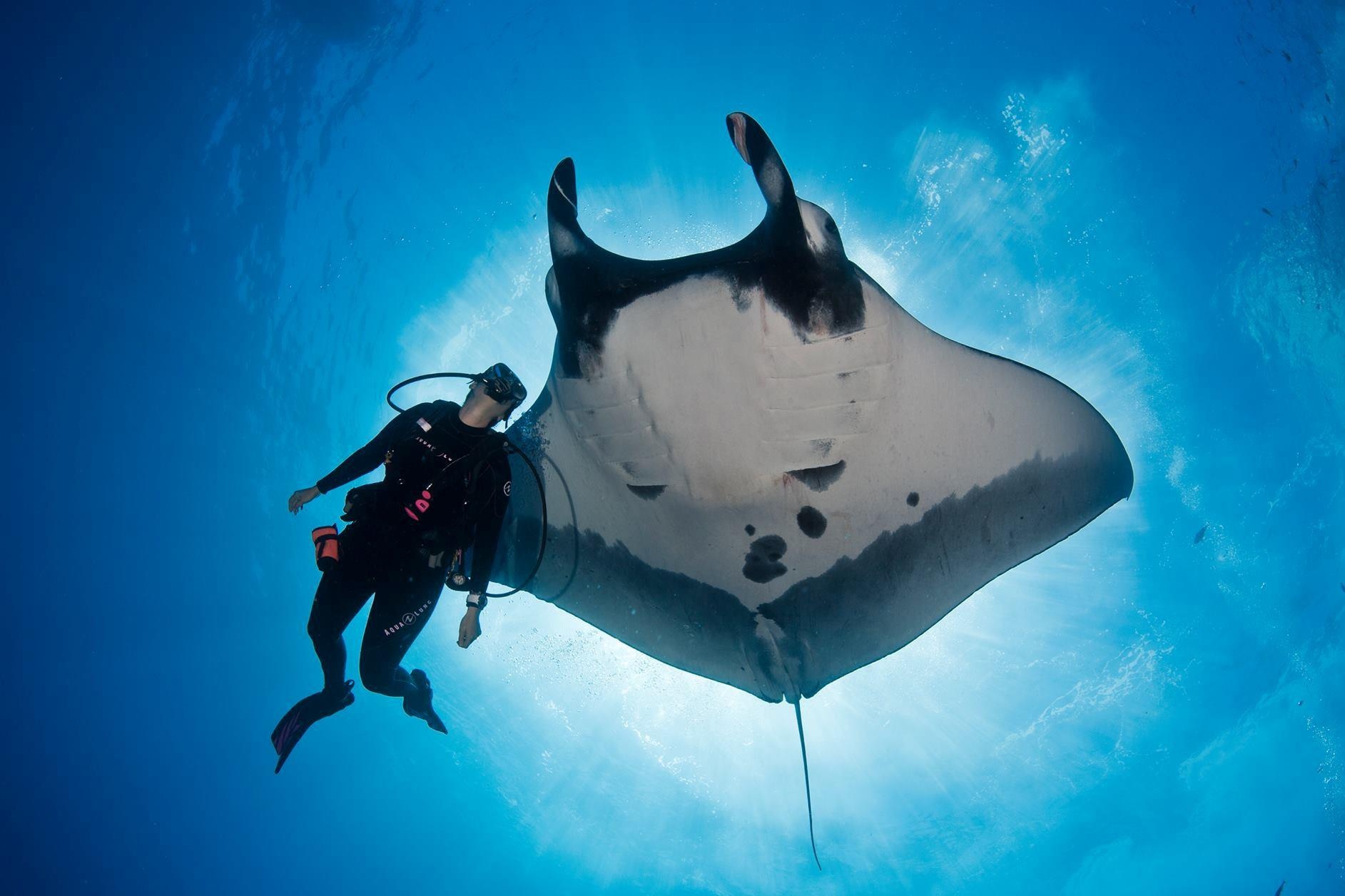 Ca duoi khong lo bat ngo ap sat, xin tho lan cuu mang hinh anh