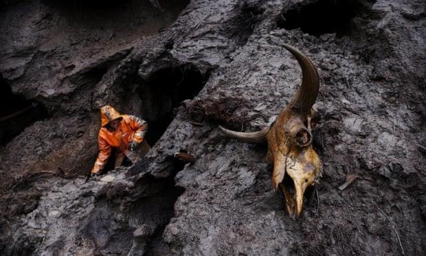 sot vang nga voi ma mut anh 2