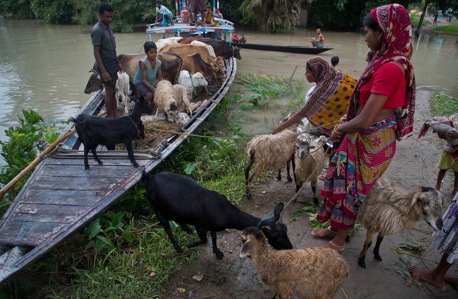 lu quet kinh hoang o Nam A anh 10