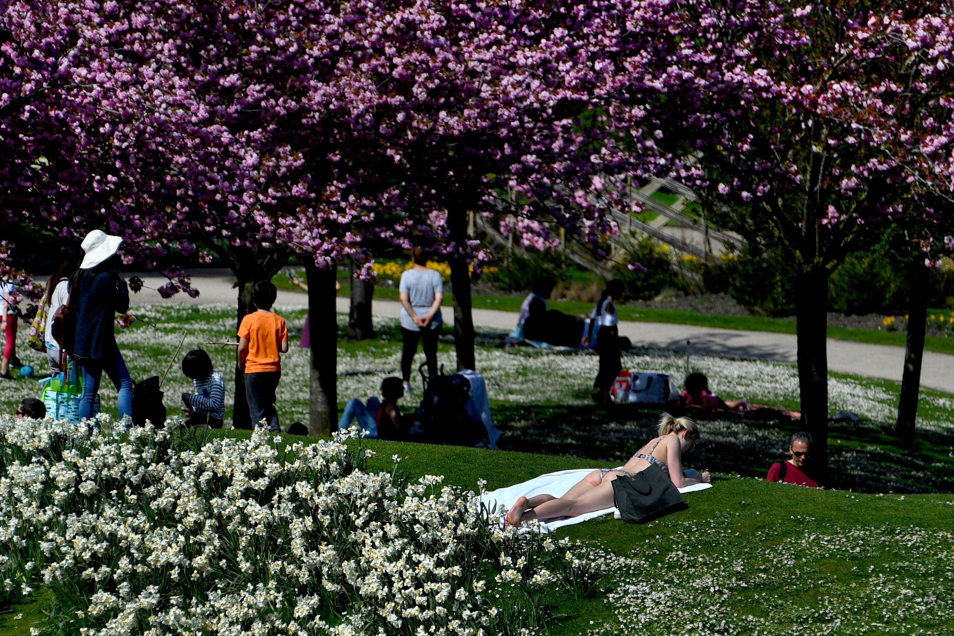 'Cong vien khoa than' tai Paris bao dong nan du khach bi quay roi hinh anh