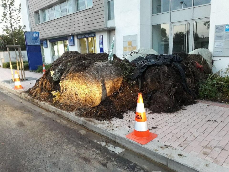 đổ phân bón trước văn phòng nghị sĩ Pháp ảnh 1 do phan bon truoc van phong nghi si Phap anh 1