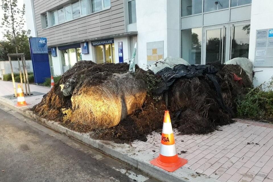 Nong dan do 2 tan phan bon truoc van phong nghi si Phap hinh anh