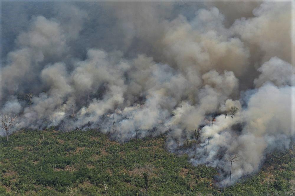 chay rung Amazon anh 4