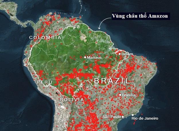 Brazil dua quan doi cuu rung Amazon anh 2